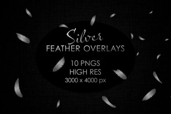 Elevate Your Visuals with Falling Silver Feathers PNGs